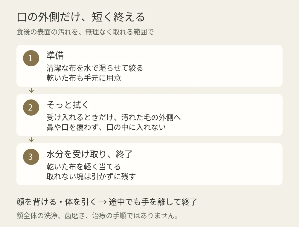食後の口まわりケアの順序。湿らせて絞った清潔な布を準備し、受け入れるときだけ口の外側の毛を優しく拭き、乾いた布で水分を受け取って終了。目・鼻・口の中には入れない。