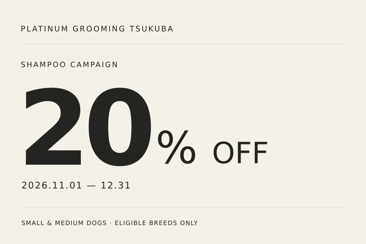 2026年11月・12月のシャンプー20%OFFを伝える文字中心のイラスト